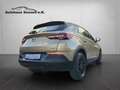 Opel Grandland X *AHK*Tempomat* Brun - thumbnail 13