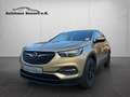 Opel Grandland X *AHK*Tempomat* Brun - thumbnail 3