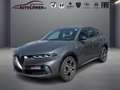 Alfa Romeo Tonale 1.6 Turbodiesel Ti (EURO 6d) - thumbnail 1