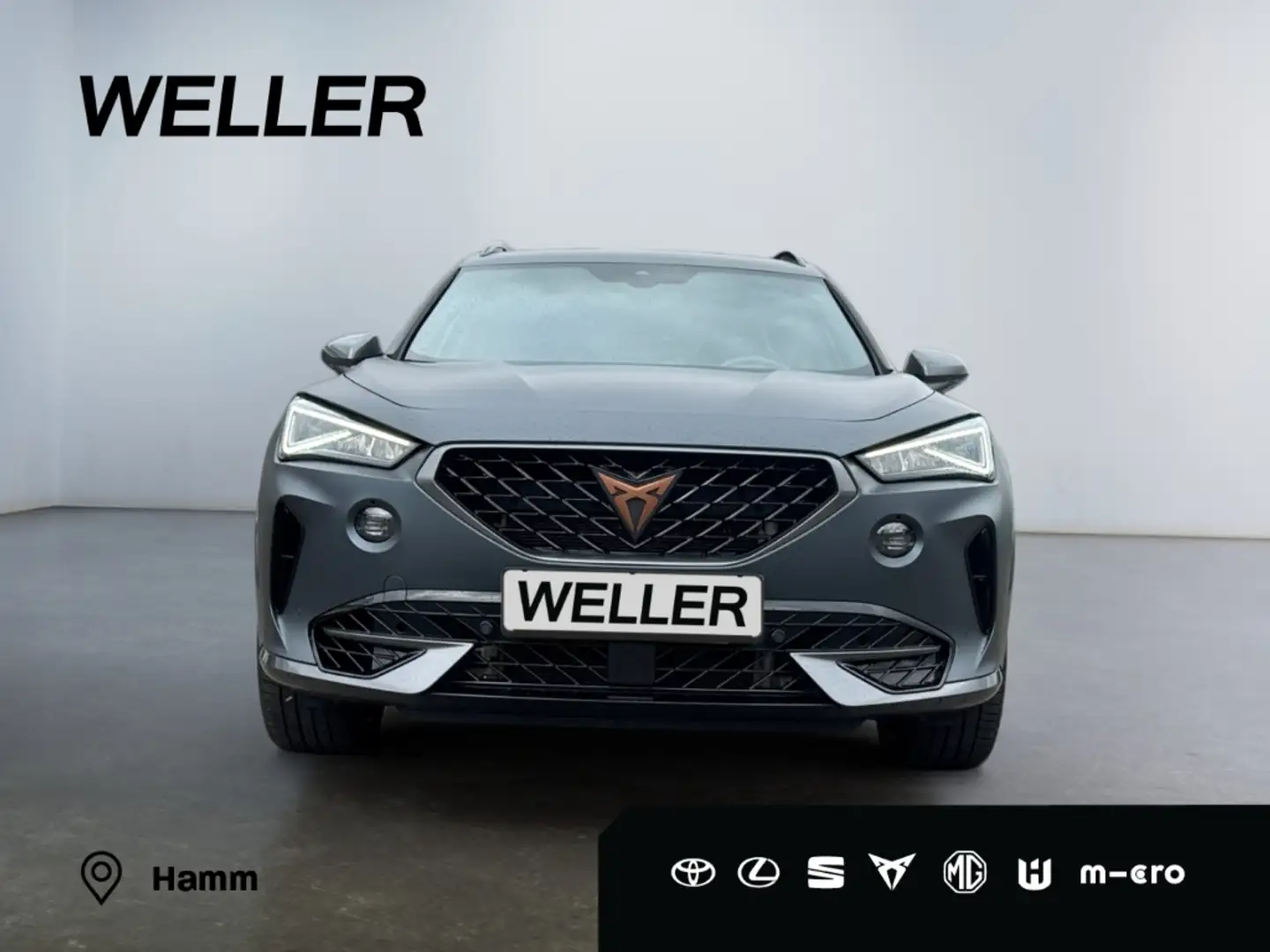 CUPRA Formentor VZ 2.0 TSI 4Drv DSG *Brembo*Beats*Matt* Grau - 2