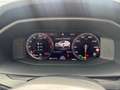 CUPRA Formentor VZ 2.0 TSI 4Drv DSG *Brembo*Beats*Matt* Grau - thumbnail 15