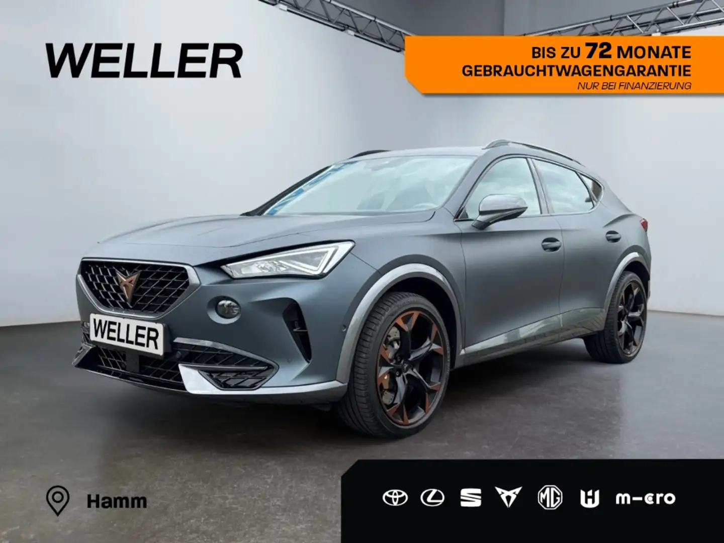CUPRA Formentor VZ 2.0 TSI 4Drv DSG *Brembo*Beats*Matt* Grau - 1