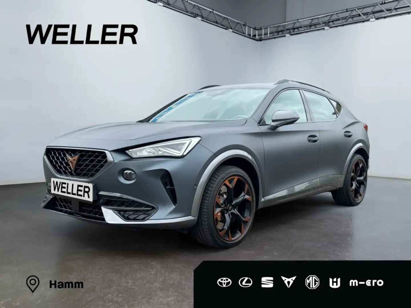 CUPRA Formentor VZ 2.0 TSI 4Drv DSG *Brembo*Beats*Matt* Grau - 1