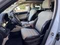 Skoda Kodiaq 2,0 TDI SCR 4x4 Style DSG*AHK*ACC* Weiß - thumbnail 16