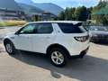 Land Rover Discovery Sport Discovery Sport  SD4 4WD  Luxury Aut. HSE Luxury Weiß - thumbnail 18