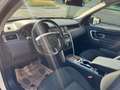 Land Rover Discovery Sport Discovery Sport  SD4 4WD  Luxury Aut. HSE Luxury Weiß - thumbnail 20