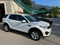 Land Rover Discovery Sport Discovery Sport  SD4 4WD  Luxury Aut. HSE Luxury Weiß - thumbnail 9