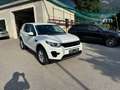 Land Rover Discovery Sport Discovery Sport  SD4 4WD  Luxury Aut. HSE Luxury Weiß - thumbnail 28