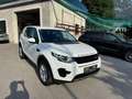 Land Rover Discovery Sport Discovery Sport  SD4 4WD  Luxury Aut. HSE Luxury Weiß - thumbnail 7