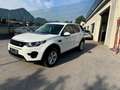 Land Rover Discovery Sport Discovery Sport  SD4 4WD  Luxury Aut. HSE Luxury Weiß - thumbnail 2