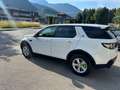 Land Rover Discovery Sport Discovery Sport  SD4 4WD  Luxury Aut. HSE Luxury Weiß - thumbnail 19