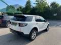 Land Rover Discovery Sport Discovery Sport  SD4 4WD  Luxury Aut. HSE Luxury Weiß - thumbnail 14