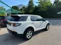 Land Rover Discovery Sport Discovery Sport  SD4 4WD  Luxury Aut. HSE Luxury Weiß - thumbnail 13