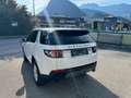 Land Rover Discovery Sport Discovery Sport  SD4 4WD  Luxury Aut. HSE Luxury Weiß - thumbnail 17