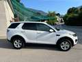 Land Rover Discovery Sport Discovery Sport  SD4 4WD  Luxury Aut. HSE Luxury Weiß - thumbnail 11