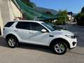 Land Rover Discovery Sport Discovery Sport  SD4 4WD  Luxury Aut. HSE Luxury Weiß - thumbnail 10