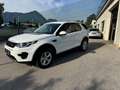 Land Rover Discovery Sport Discovery Sport  SD4 4WD  Luxury Aut. HSE Luxury Weiß - thumbnail 1