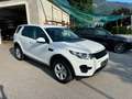 Land Rover Discovery Sport Discovery Sport  SD4 4WD  Luxury Aut. HSE Luxury Weiß - thumbnail 8