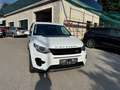 Land Rover Discovery Sport Discovery Sport  SD4 4WD  Luxury Aut. HSE Luxury Weiß - thumbnail 6