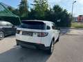 Land Rover Discovery Sport Discovery Sport  SD4 4WD  Luxury Aut. HSE Luxury Weiß - thumbnail 15