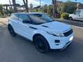 Land Rover Range Rover Evoque Coupe’ 2.2 Dynamic 190cv Autom.da Vetrina Tasso 0 Bianco - thumbnail 2