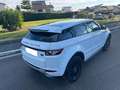Land Rover Range Rover Evoque Coupe’ 2.2 Dynamic 190cv Autom.da Vetrina Tasso 0 Bianco - thumbnail 4