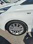 Kia Carens 1.7 CRDi 115 CV Cool Bianco - thumbnail 2