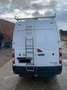 Opel Movano dubbele band achteraan Wit - thumbnail 3