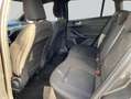 Ford Focus Turnier 1.0 Hybrid Aut. ST-LINE STYLE *ACC * Gris - thumbnail 9