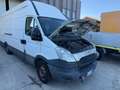 Iveco Daily 2.3 / L4 / MOTORE FUSO Blanc - thumbnail 3