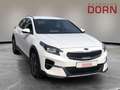 Kia XCeed 1.6T DCT Xclusive-/ Navigations-Paket Soun Weiß - thumbnail 4