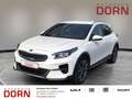 Kia XCeed 1.6T DCT Xclusive-/ Navigations-Paket Soun Weiß - thumbnail 1