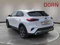 Kia XCeed 1.6T DCT Xclusive-/ Navigations-Paket Soun Weiß - thumbnail 2