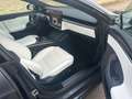 Tesla Model S Plaid grau*Innen black&white/Yoke/21"/Garant:08.27 Grau - thumbnail 24
