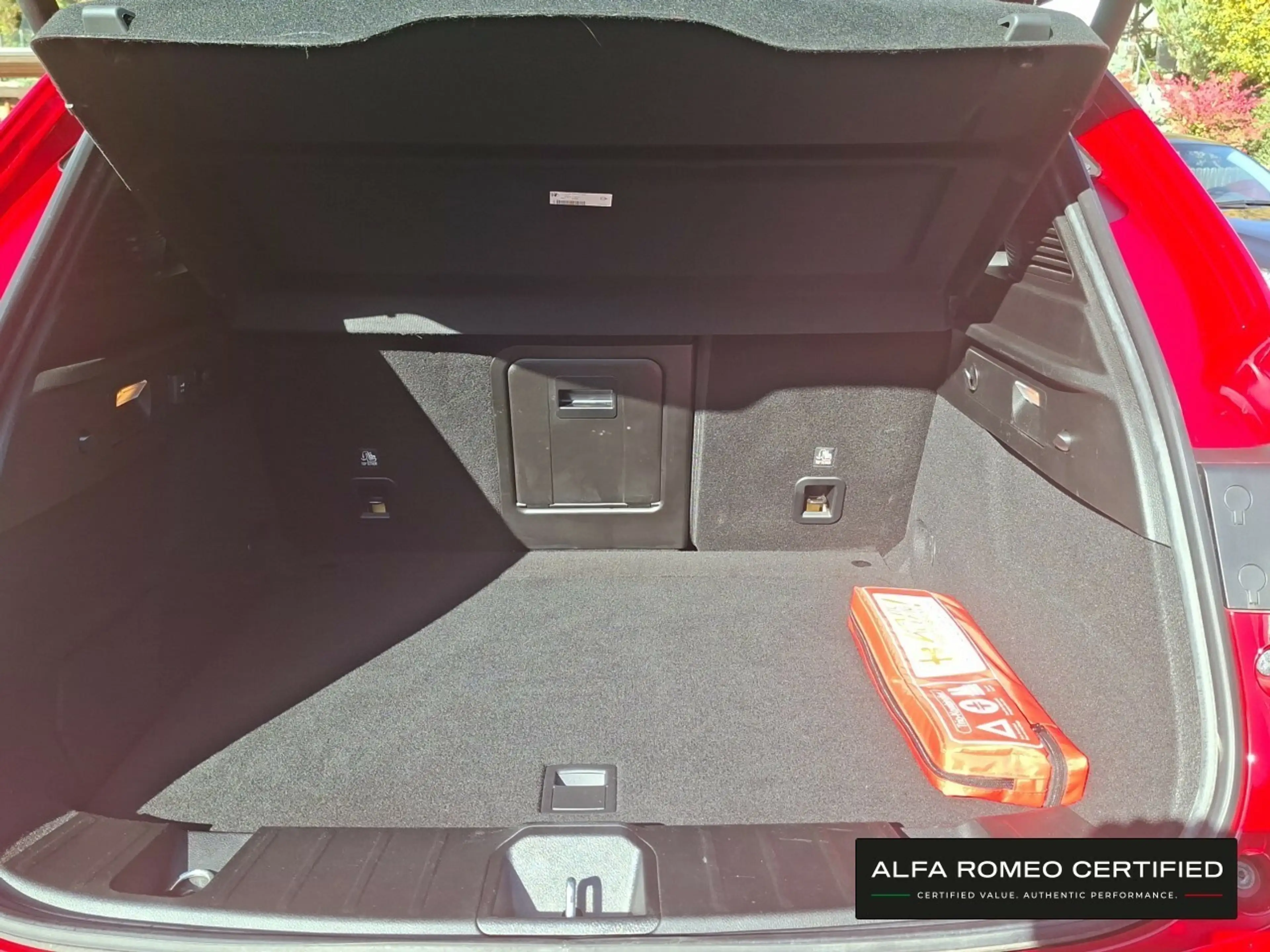 Alfa Romeo Tonale Tributo Italiano 1.5 VGT MildHybrid — photo 6