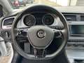 Volkswagen Golf Golf VII 3p 1.6 tdi Highline Business 110cv Wit - thumbnail 22
