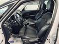 Renault Scenic Scenic 1.7 dCi Bose Edition, 7 PLACES,Garantie 1an Blanc - thumbnail 20