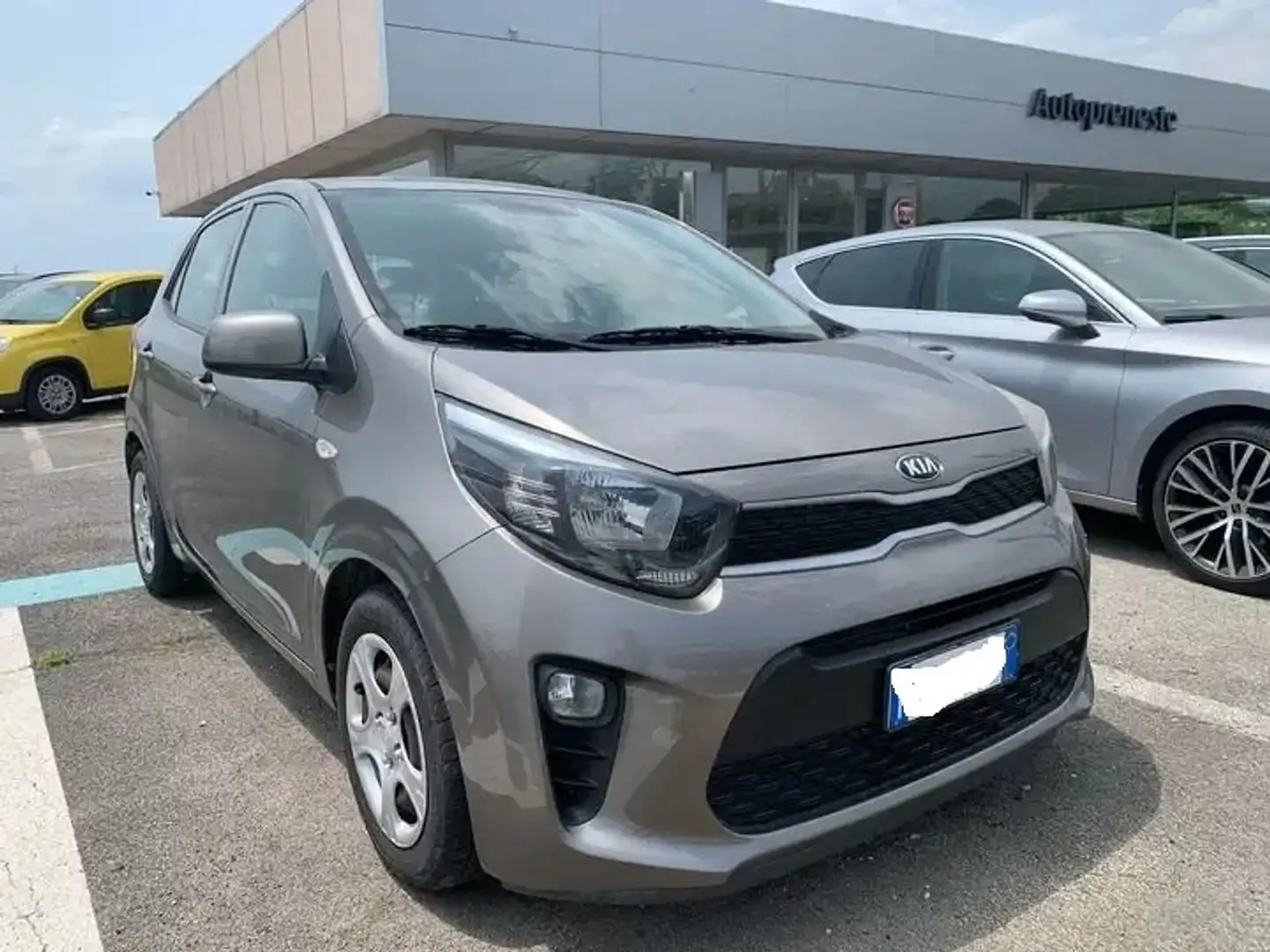 Kia Picanto 1.0 Active 66cv 5p Grigio - 1