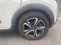 Citroen C3 C3 III 2017 1.6 bluehdi Shine s Bianco - thumbnail 15
