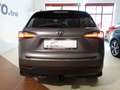 Lexus NX 300h AWD Hybrid Aut. Executive *VOLLAUSSTATTUNG *FOLIE Grau - thumbnail 7