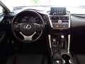Lexus NX 300h AWD Hybrid Aut. Executive *VOLLAUSSTATTUNG *FOLIE Grau - thumbnail 17
