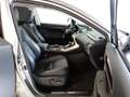 Lexus NX 300h AWD Hybrid Aut. Executive *VOLLAUSSTATTUNG *FOLIE Grau - thumbnail 12