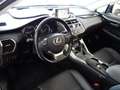 Lexus NX 300h AWD Hybrid Aut. Executive *VOLLAUSSTATTUNG *FOLIE Grau - thumbnail 20