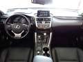 Lexus NX 300h AWD Hybrid Aut. Executive *VOLLAUSSTATTUNG *FOLIE Grau - thumbnail 16