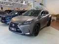 Lexus NX 300h AWD Hybrid Aut. Executive *VOLLAUSSTATTUNG *FOLIE Grau - thumbnail 4