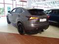 Lexus NX 300h AWD Hybrid Aut. Executive *VOLLAUSSTATTUNG *FOLIE Grau - thumbnail 6