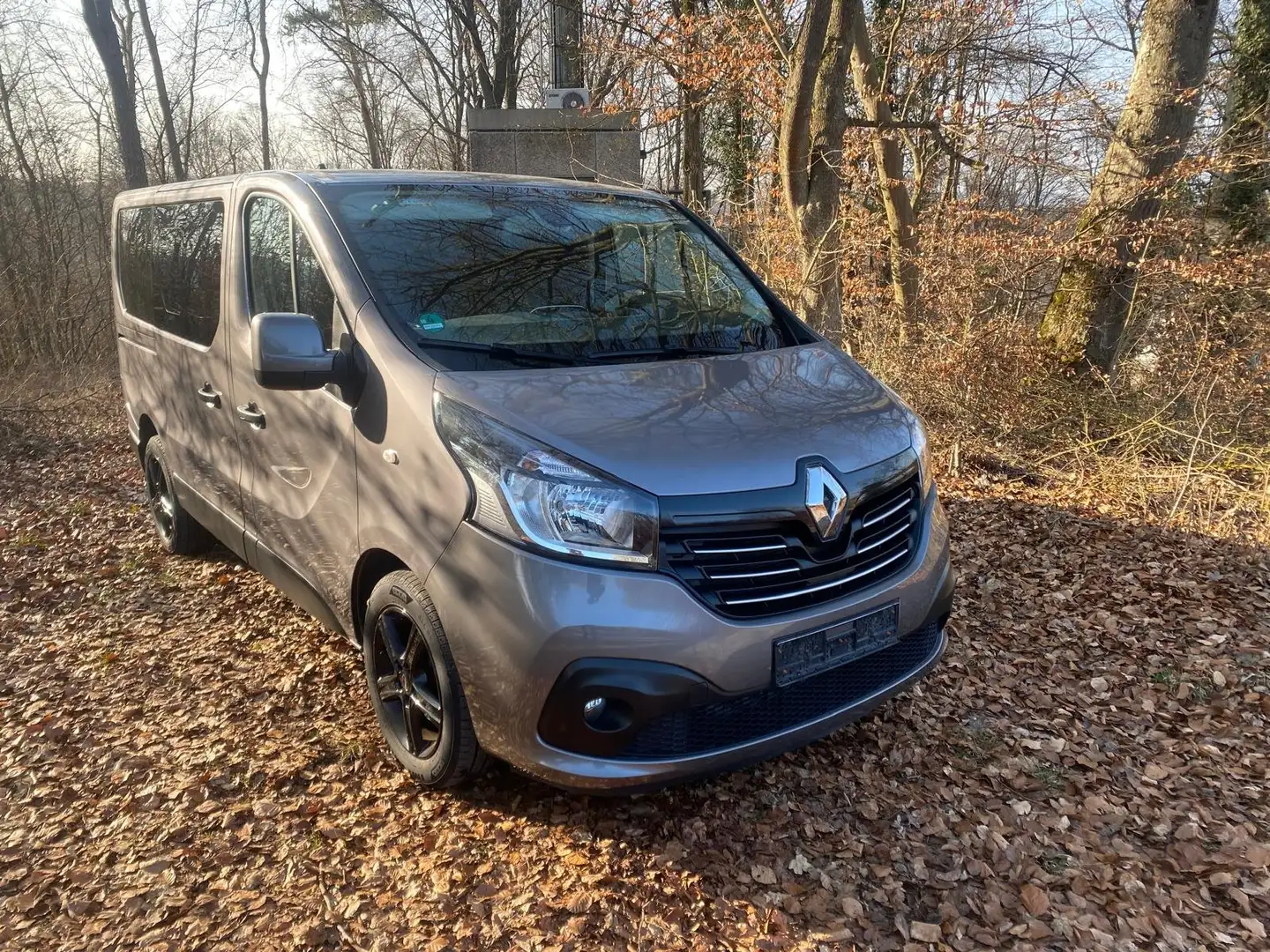 Renault Trafic Trafic dCi 145 ENERGY dCi 145 Combi Expression Gris - 1