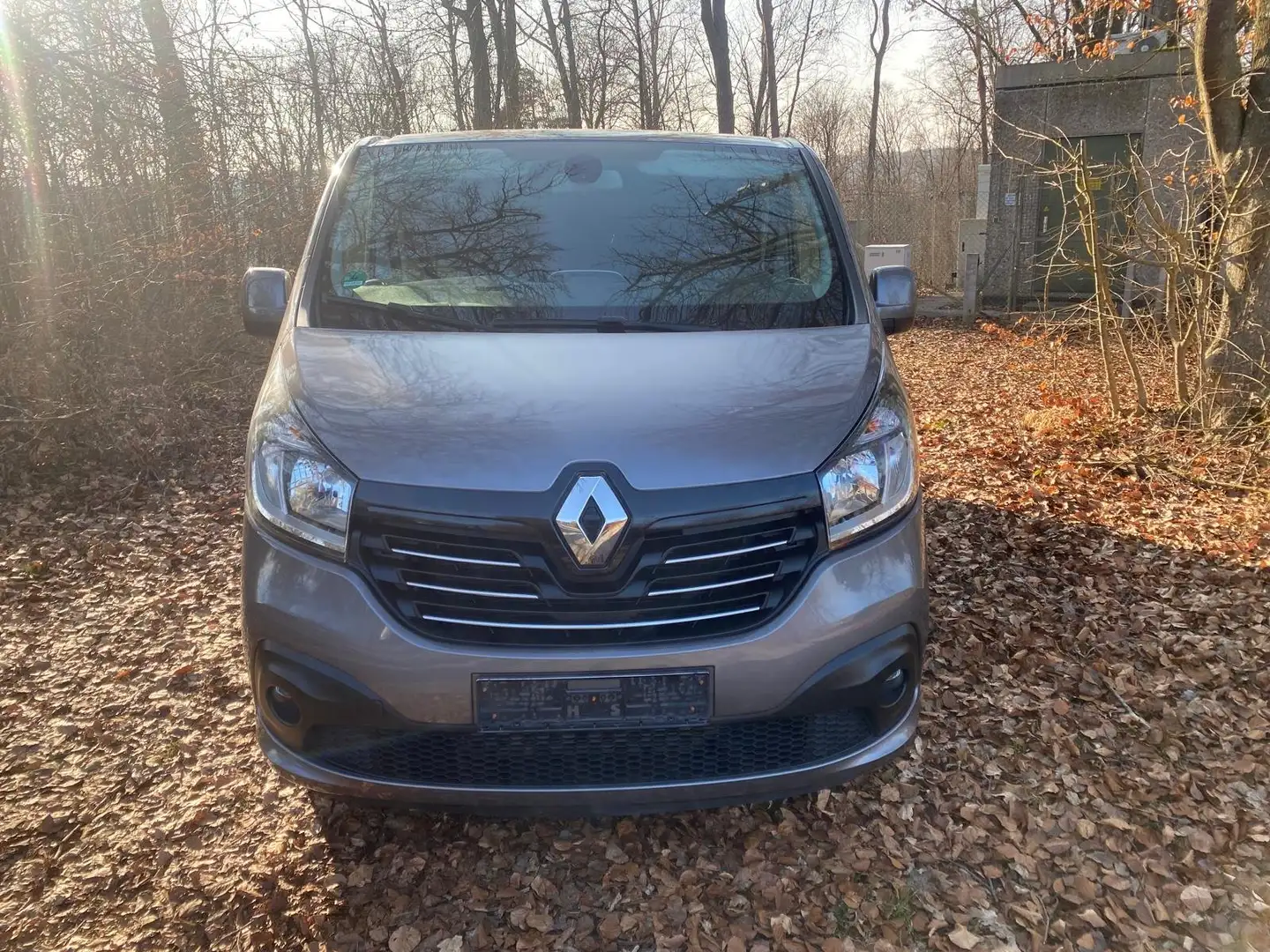 Renault Trafic Trafic dCi 145 ENERGY dCi 145 Combi Expression Gris - 2