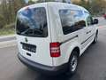 Volkswagen Caddy Kasten/Kombi Weiß - thumbnail 4