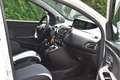Lancia Ypsilon 0.9 TwinAir Elefantino Plus, ORGINEEL NEDERLANDSE Weiß - thumbnail 12